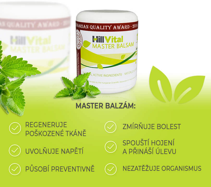 Mast na bolest kloubů Master balzám až 250 ml HillVital